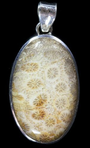 Million Year Old Fossil Coral Pendant - Sterling Silver #49564